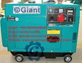 GIANT POWER OEM mini diesel generator