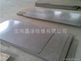 high purity Titanium sheet(plate) 4
