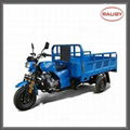 hot sale motorcycles tricycles rauby