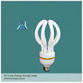 lotus energy saving lamp 2