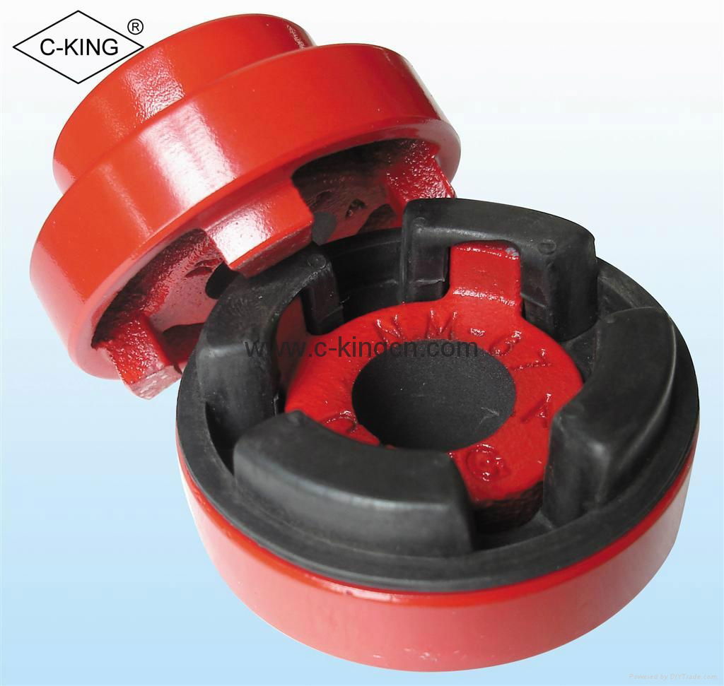 NM Flexible Rubber Coupling 1