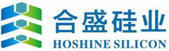 zhejiang hoshine silicon industry co., ltd