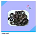 Rubber seals injection mould 1