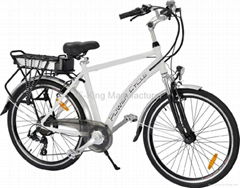 E-King electric bike