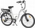 E-King electric bike