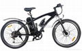 E-King electric bike