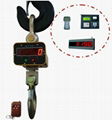 Industrial Crane Scales CS-EW