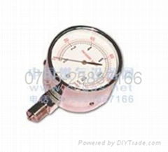 micro pressure gauge - Yahweh pays attention to service and quality