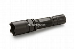 Cree (USA) Xp-e® 3W LED Torch