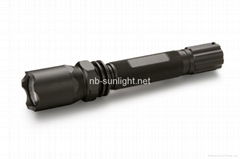 Cree (USA) Xpe® 3W LED Torch