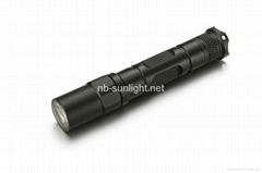 Cree (USA) xpe®  3W LED Torch