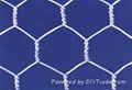 Hexagonal wire mesh 3