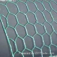 PVC Hexagonal Wire Netting