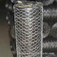 S.S Hexagonal Wire Netting 2