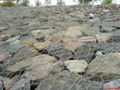 Hexagonal Gabion 3