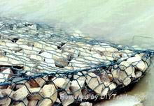 Hexagonal Gabion 4