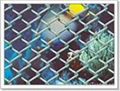 Chain Link Fence 3