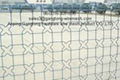 Wire mesh fence  4