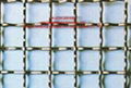 Crimped wire mesh 2