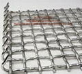 Crimped wire mesh 3