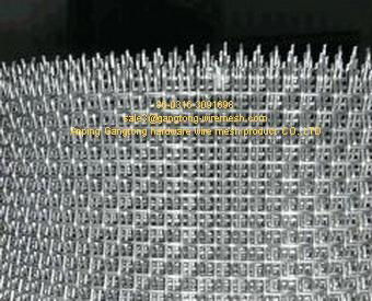 Crimped wire mesh 5