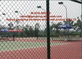 Tennis Court Fencing 5