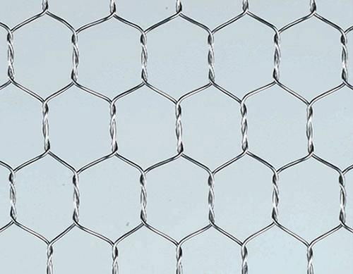 S.S Hexagonal Wire Netting 4