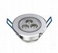 3W LED Ceiling Light