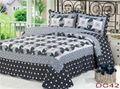 100% Cotton Patchwork Quilt 3PCS & 4 PCS Bed Setting 5