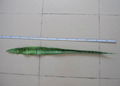 44.4" Sansevieria   leaves