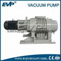Roots Vacuum Pump 1