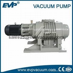 Roots Vacuum Pump