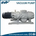 Roots Vacuum Pump 2