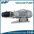 Roots Vacuum Pump 3