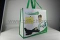 High Quanlity Environmental Protection Bag 1