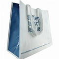 Nonwoven Shopping Bag with The Big