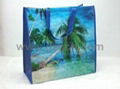 Beach Bag Made of Woven Peritoneal 1