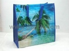 Beach Bag Made of Woven Peritoneal