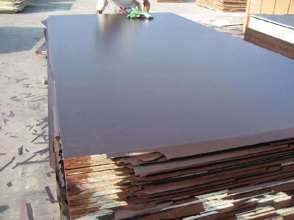 Chinese Film faced plywood & marine plywood  3