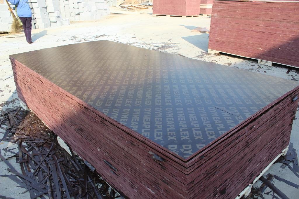Chinese Film faced plywood & marine plywood  5