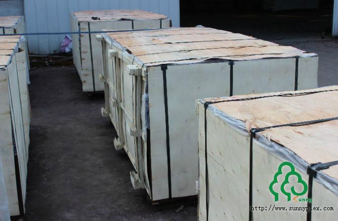 shutting plywood dynea marine plywood 4