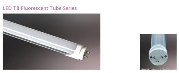 Competitive T8 Led Tube Light