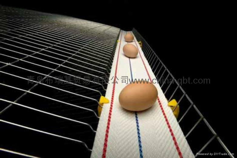 Egg conveyor belts 2