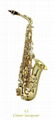 Alto Saxophone(Professional) - Lien