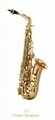 Alto Saxophone(Professional)  - Lien