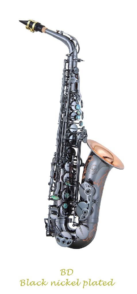 Alto Saxophone(Professional)  - Lien Cheng  2