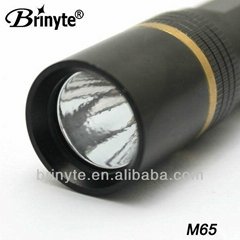 Brinyte CREE R5 Portable Power LED Light