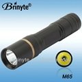 Brinyte CREE R5 Portable Power LED Light 3