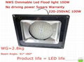 Dimmable Led Floodlights-100W 1