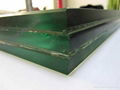 Laminated glass 1